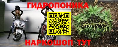 шишки Пыть-Ях