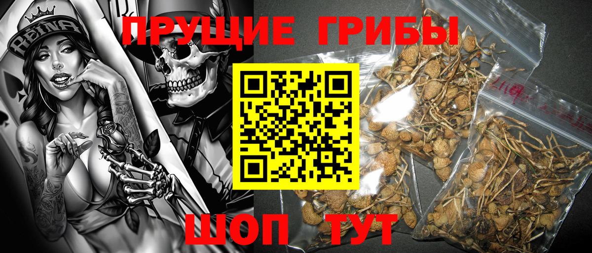 Галлюциногенные грибы мицелий Пугачёв