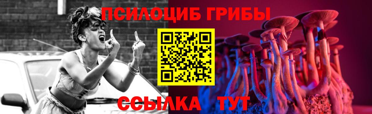 Галлюциногенные грибы прущие грибы  Галлюциногенные грибы мицелий  Вход с VPN  Пугачёв 